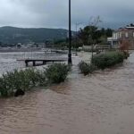 focada selin izleri siliniyor e397cd0b34d3