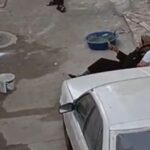 gaziantep tartistigi agabeyini olduren supheli adliyede cinayet ani kamerada video eklendi c4e40e363af9