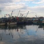 gazzeye insani yardim ulastirmak isteyen filoya akcakocadan destek 7218e0ac5cd1