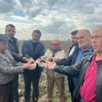 incirliovada 6 bin donum pamuk tarlasi zarar gordu video eklendi fec92a44edb9