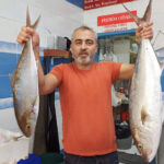 iskenderun korfezinde jumbo karides bollugu fiyatlari dusurdu b4371cc4cedb
