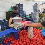 istanbul avcilarda zabitadan pazar denetimi 07befe79f344