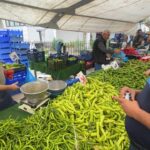 istanbul avcilarda zabitadan pazar denetimi 78a96c01174f