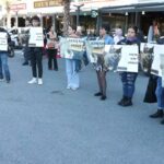 istanbul basaksehirde kediye iskence davasinda karar sanik hakkinda 3 yil 8 ay hapis cezasi cc9acd1ca6fe