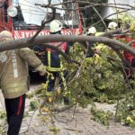 istanbul besiktas ve sislide agacla elektrik diregi araclarin ustune devrildi 11916804b790