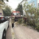 istanbul besiktas ve sislide agacla elektrik diregi araclarin ustune devrildi 13fc8233835d
