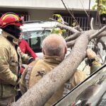 istanbul besiktas ve sislide agacla elektrik diregi araclarin ustune devrildi 4f1e43cc7931
