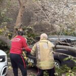 istanbul besiktas ve sislide agacla elektrik diregi araclarin ustune devrildi 52ec569bfd0e