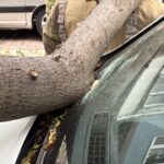 istanbul besiktas ve sislide agacla elektrik diregi araclarin ustune devrildi b5b958592ef5