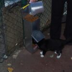 istanbul demiroren medya ve teknoloji mtal ogrencilerinden sokak hayvanlarina mama destegi 657686d14405