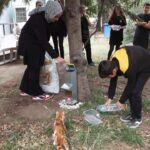istanbul demiroren medya ve teknoloji mtal ogrencilerinden sokak hayvanlarina mama destegi e2d4a80c380c