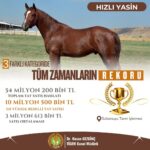istanbul elit taylar acik arttirmayla toplam 54 milyon 200 bin liraya satildi 9c58d994ee20