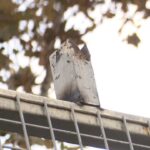 istanbul eyupsultanda okulda demir kapi ogrencilerin uzerine devrildi 4 yarali e046b25b1050