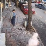 istanbul fatihte otomobilin ezdigi kopek kuki oldu o anlar kamerada 5c4351d13d74