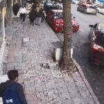 istanbul fatihte otomobilin ezdigi kopek kuki oldu o anlar kamerada c5a4b3e8a3ea