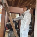 İstanbul'da Kahverengi Kokarca İçin Üç Yıllık Eylem Planı Hazırlandı 8 istanbul istanbulda da kahverengi korkarca ile mucadele 0562710a0631