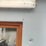 İstanbul'da Kahverengi Kokarca İçin Üç Yıllık Eylem Planı Hazırlandı 4 istanbul istanbulda da kahverengi korkarca ile mucadele 9163b8e4392f