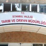 İstanbul'da Kahverengi Kokarca İçin Üç Yıllık Eylem Planı Hazırlandı 2 istanbul istanbulda da kahverengi korkarca ile mucadele a421f50876f6