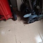 İstanbul'da Kahverengi Kokarca İçin Üç Yıllık Eylem Planı Hazırlandı 5 istanbul istanbulda da kahverengi korkarca ile mucadele dfc67efbc68e