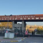 istanbul ozgurluk filosunun 18i turk 94 aktivisti thy ucagiyla istanbula geldi genis haber 07b523696da8