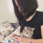 istanbul sultanbeylide bir kisinin oldugu kazada otomobil surucusune tahliye 78b0699ccca4