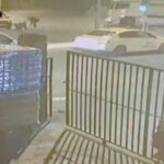 istanbul sultanbeylide tirla carpisan motosikletteki 2 kisi agir yaralandi kaza ani kamerada 552af8131799