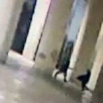 istanbul taksimde kendisine para vermeyen adami bicaklayarak oldurdu a2dad3381733