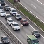 Ters Yön Üzerinde İlerleyen Koyun, Sürücülere Zor Anlar Yaşattı 1 istanbul umraniyede otoyol uzerinde ilerleyen koyun suruculere zor anlar yasatti 78d102634fff