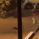 Bergama ve Kırkağaç'ta Gece Yağmuru Hayatı Olumsuz Etkiledi: Sürücüler Yolda Mahsur Kaldı 1 izmir ve manisada saganak yagis etkili oldu 427362f5dec5