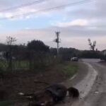 kacak cekilen elektrik hatinda akima kapilan 2 attan 1i oldu video eklendi 82af8c5da020