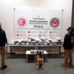 Edirne'deki Sınır Kapılarında Uyuşturucu Operasyonu: 524 Kilo Uyuşturucu ve 66 Kilo Ham Maddesi Ele Geçirildi 1 kapikule ve ipsalada 524 kilo uyusturucu ele gecirildi 3e4c9cc673a1