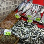 karadenizde hamsi populasyonu yogun 6bef88e1fb0e