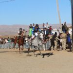 karliovada geleneksel at yarislarina yogun ilgi 7aeecf27707a