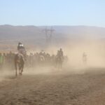 karliovada geleneksel at yarislarina yogun ilgi a8c63efbd56a