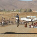 karliovada geleneksel at yarislarina yogun ilgi dcfdc8ac62ee