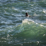 kayalikta mahsur kaldi ekipleri beklemeden yuzerek kiyiya cikti 7f67027d649a