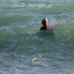 kayalikta mahsur kaldi ekipleri beklemeden yuzerek kiyiya cikti ac9474079d6c