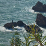 kayalikta mahsur kaldi ekipleri beklemeden yuzerek kiyiya cikti c75d011fb5b0