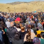 kaza gecirip olen birselin organlari 5 hastaya umut ve isik oldu video eklendi d8dd59696929