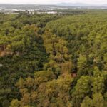 kenan evrenin gizli kosku 14 yildir kafe olarak isletiliyor 7ac091d7b8c9