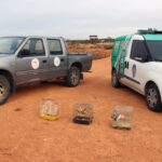 Kırşehir'de Yasa Dışı Depoda 66 Yabani Kuş Ele Geçirildi 2 kirsehirde 66 yabani kus ele gecirildi 58042bbb052c