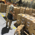 konteynerde 17 ton fosil ununa emdirilmis kokain ele gecirildi 17ead5a12bfc