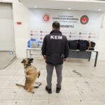 konteynerde 17 ton fosil ununa emdirilmis kokain ele gecirildi 40d4b0b665db