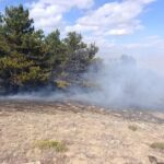 konyada orman yangini kontrol altinda 0257ecac733a