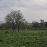 kuyuda cesedi bulunan hasretin cinayet suphelisi 5 kisinin katili cikti 3 d6ba29b10639