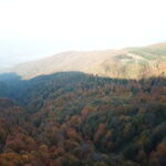 kuzuyayla tabiat parkinda sonbahar guzelligi 44465600f6ac