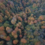 kuzuyayla tabiat parkinda sonbahar guzelligi 5a8e92b1c56c