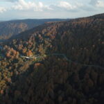 kuzuyayla tabiat parkinda sonbahar guzelligi 8c5f43230247