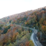 kuzuyayla tabiat parkinda sonbahar guzelligi b5bf82709d30