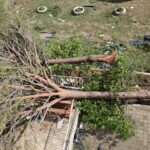 lisenin catisinin uctugu anlar kamerada 7f206a376bb6